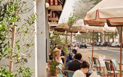Your Guide to Sydney for House 18 Open Home